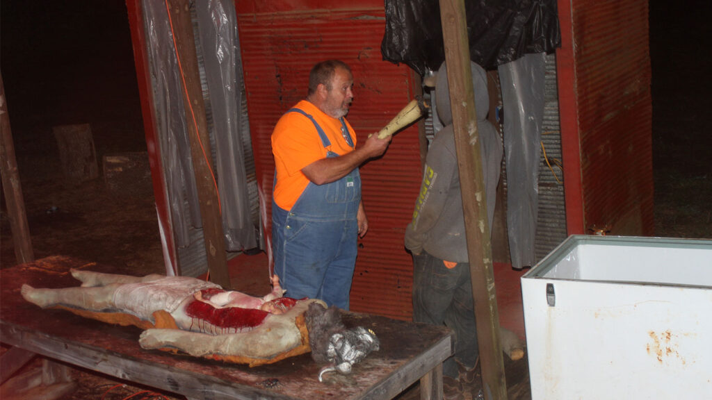 gallery The Haunted Chicken House